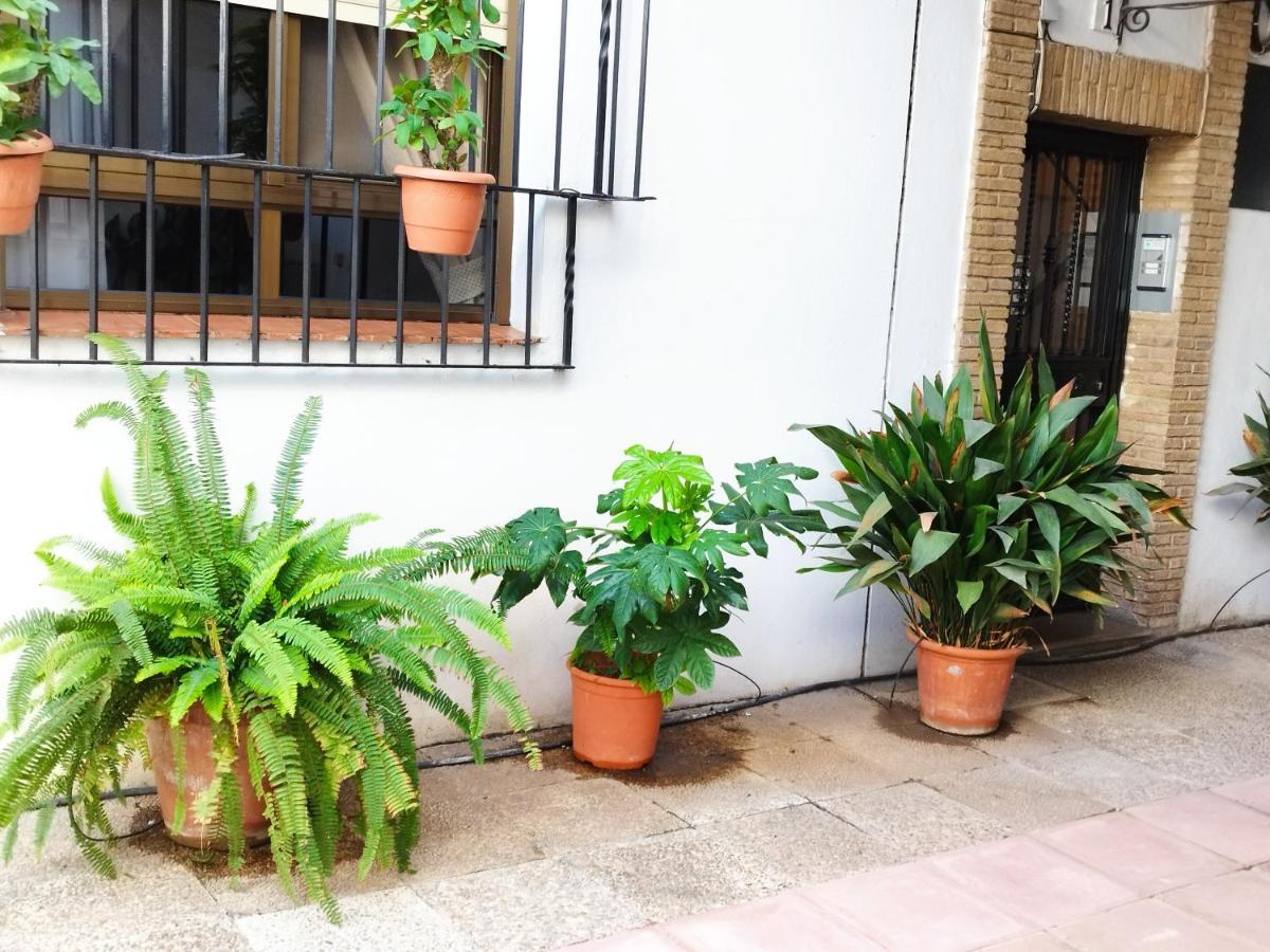El Balcon De San Pablo Apartment Cordoba Luaran gambar